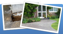 Case Studies